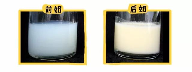 奶粉123笼包粑粑图片